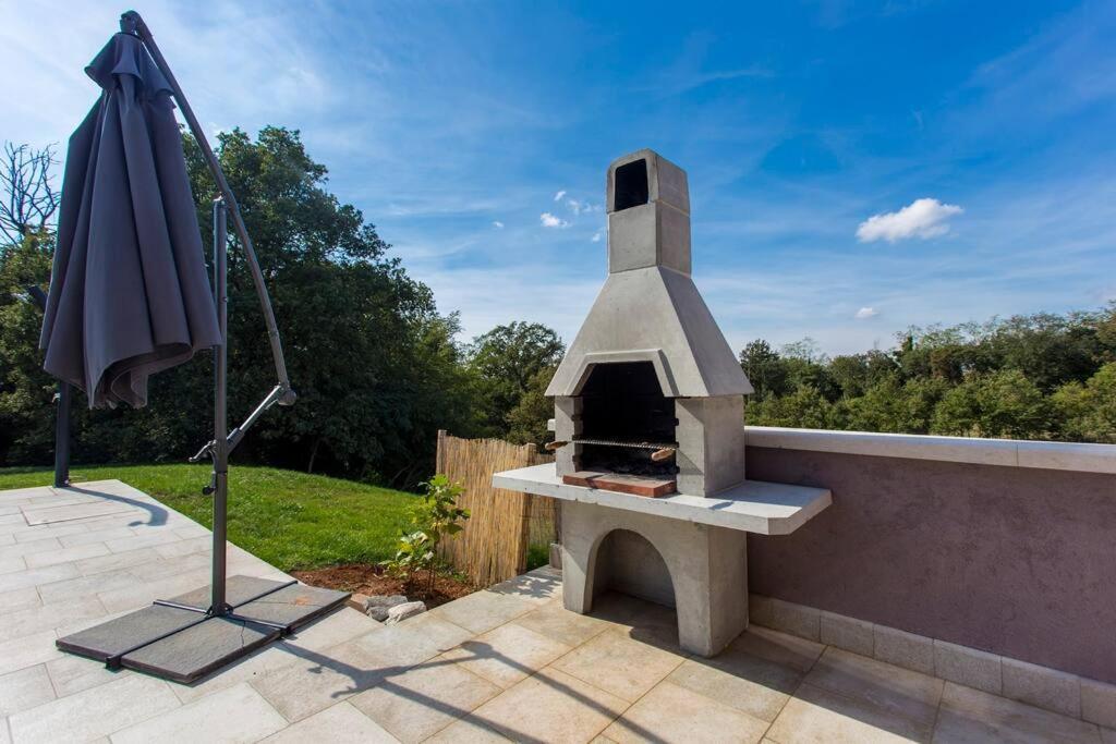 Modern House With Private Pool Villa Zminj Bagian luar foto