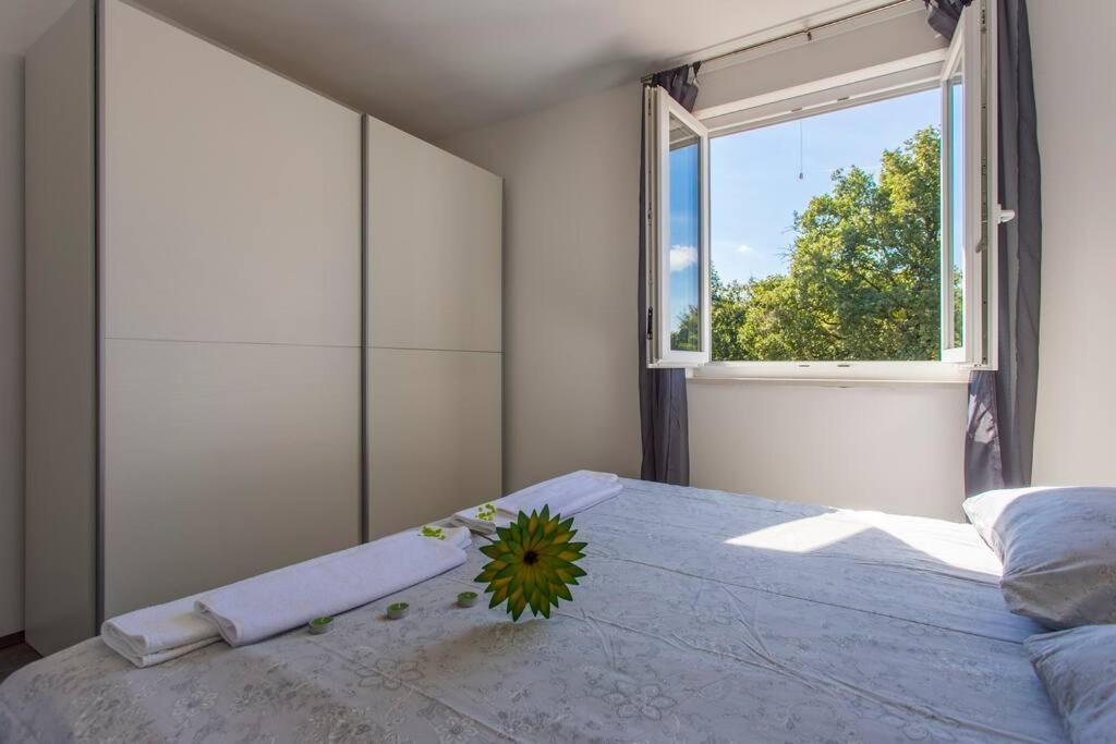 Modern House With Private Pool Villa Zminj Bagian luar foto